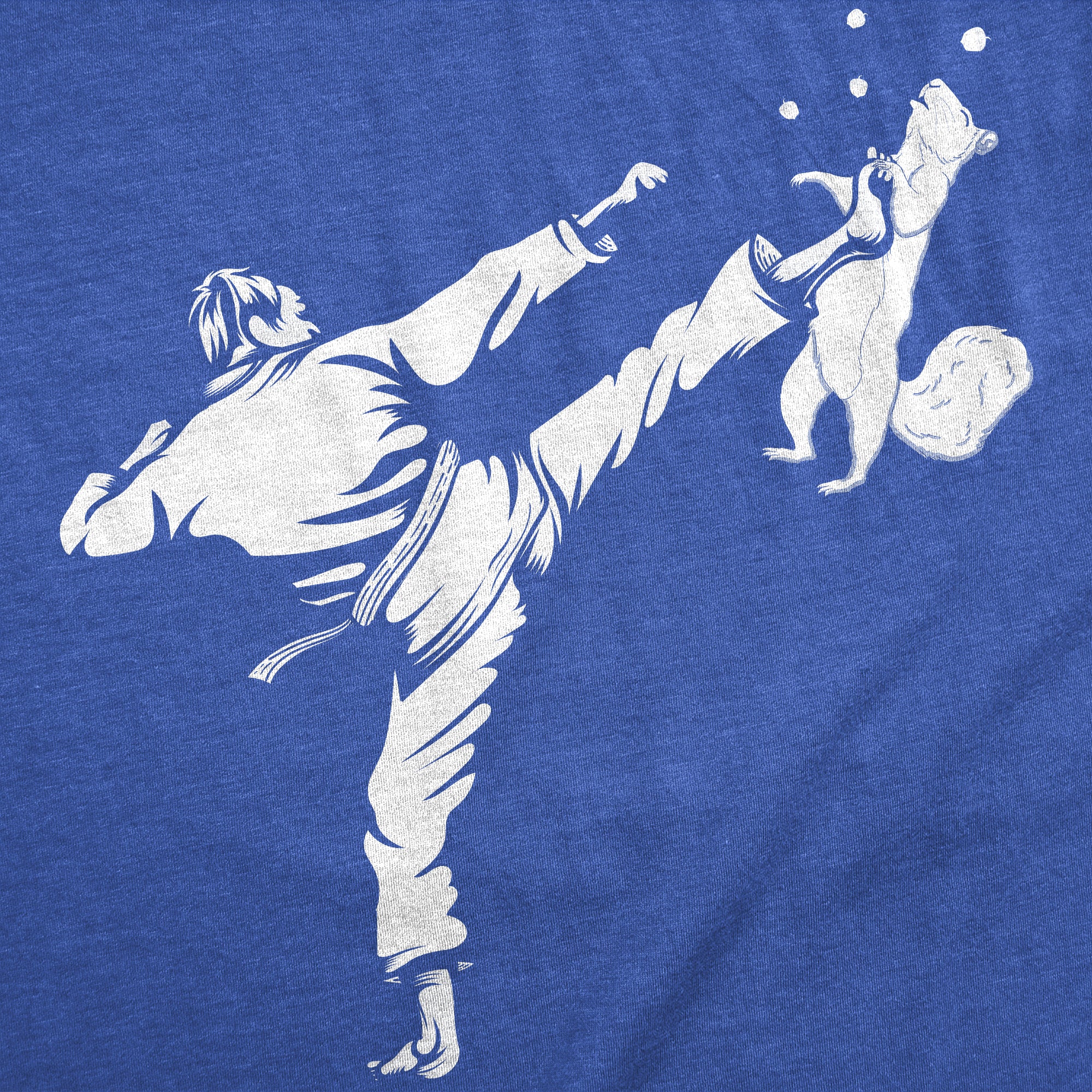 Karate Kicked Squirrel Men T-shirt