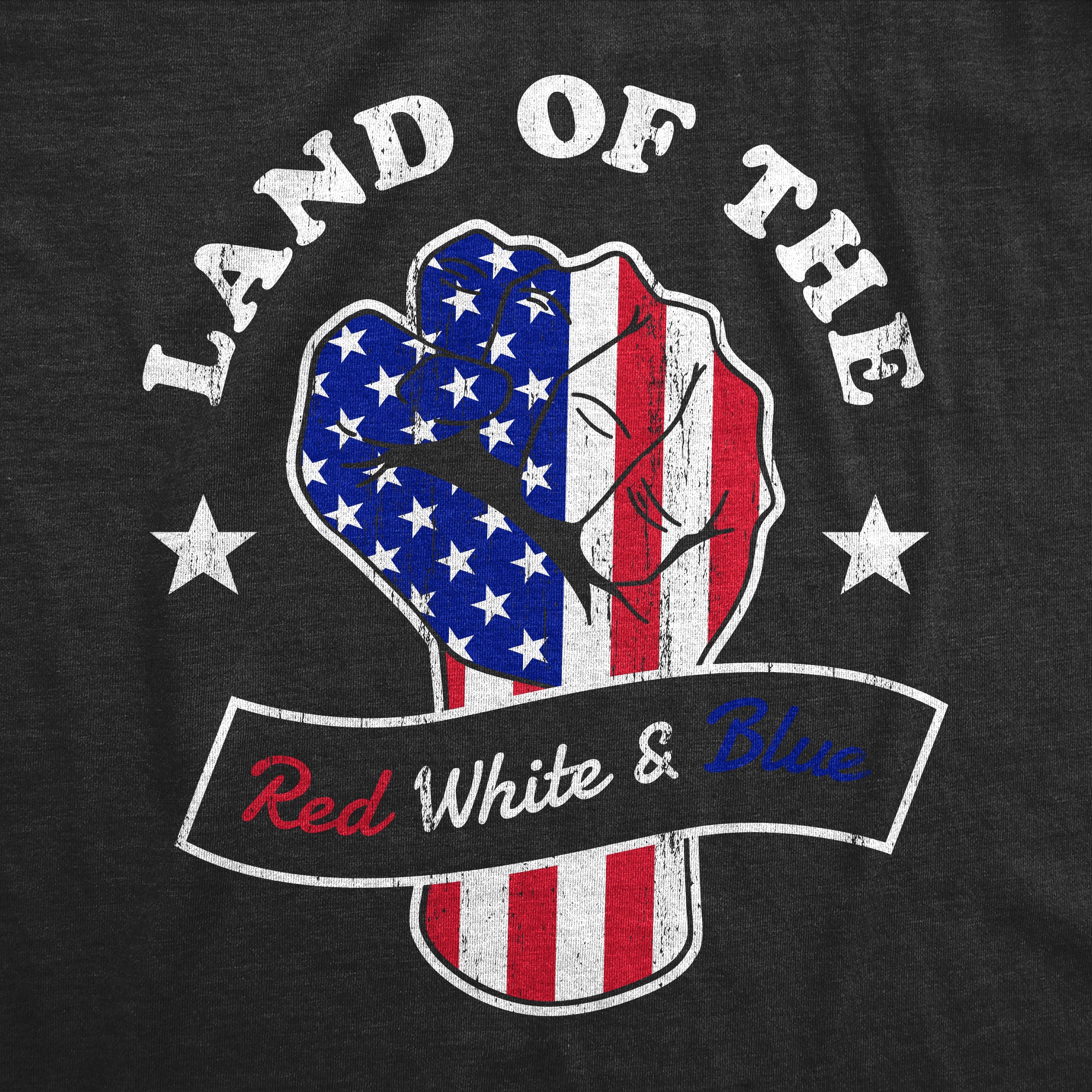 Land Of The Red White And Blue Men T-shirt