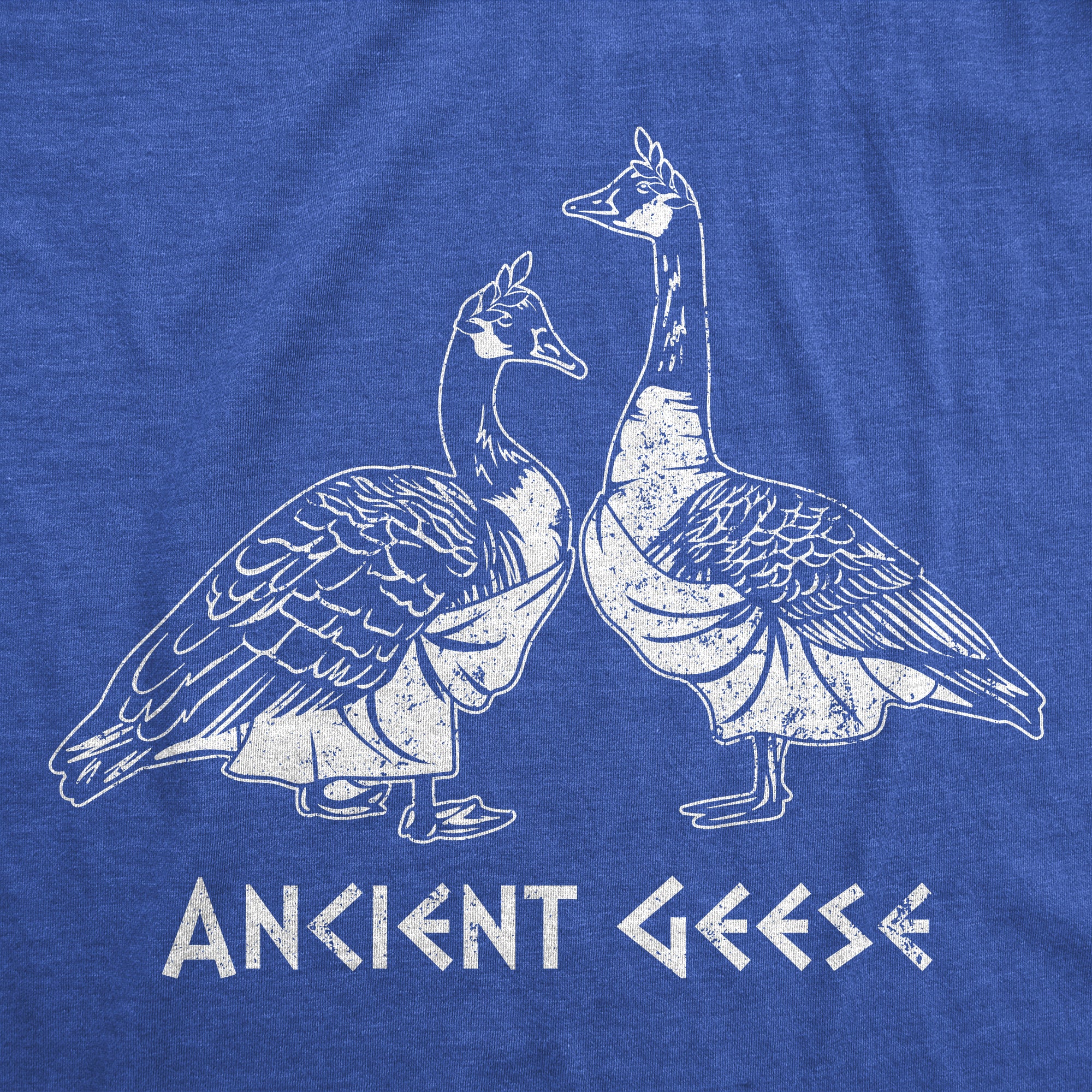Ancient Geese Men T-shirt