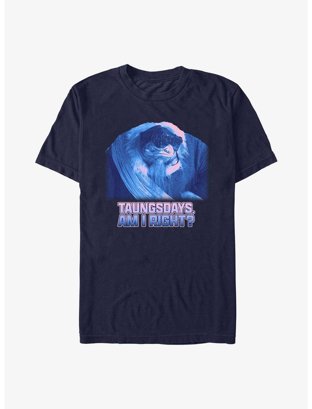 Star Wars The Mandalorian Taungsdays Am I Right Unisex T-shirt